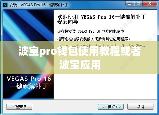 波宝pro钱包使用教程或者波宝应用