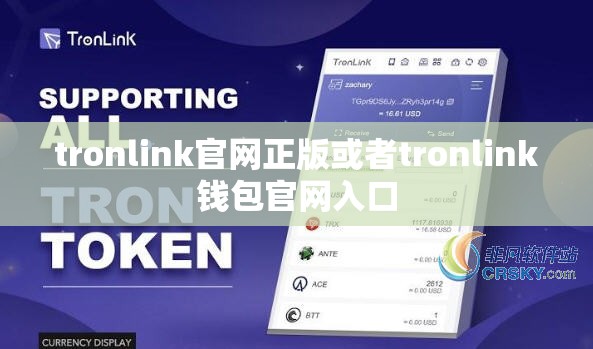 堵翠阳
