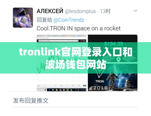 tronlink官网登录入口和波场钱包网站